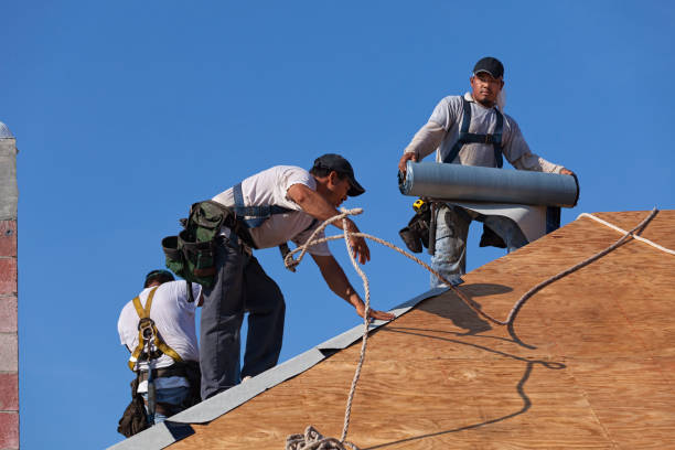 Best Roof Gutter Cleaning  in Chesterfield, MO